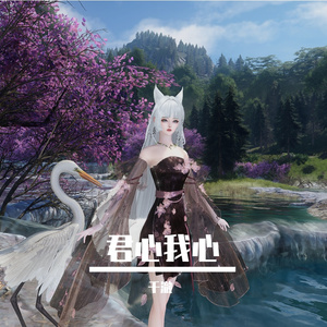 君心我心（逆水寒）