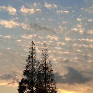 亚麻色头发的少女