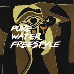 Migos-Pure Water Freestyle（金币 remix）