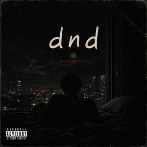 DND (feat. Jayicewanna)