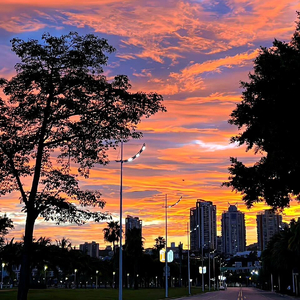 Sacred Play Secret Place（纯音乐）