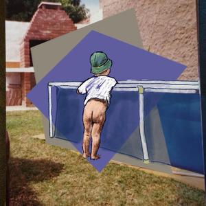 El Lauquen de los Cisnes