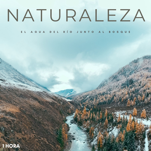 Naturaleza: El Agua Del Río Junto Al Bosque - 1 Hora