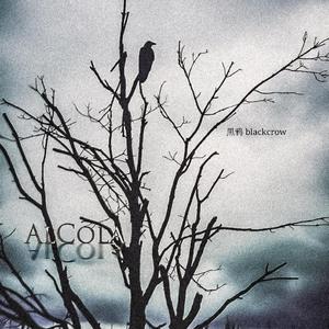 32bit-黑鸦 blackcrow（Al Cola remix）