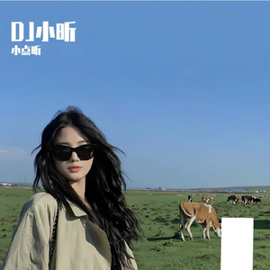 王贰浪-人间城（DJ版）（小点昕 remix）