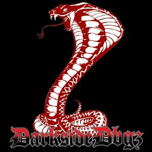 Rider's On The Storm (feat. Goldn)