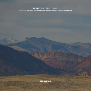 Can't Really Talk (Hassan Maroofi & David Charpentier Remix)