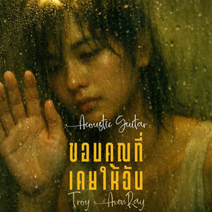 ขอบคุณที่เคยให้ฉัน (กีตาร์อะคูสติก)
