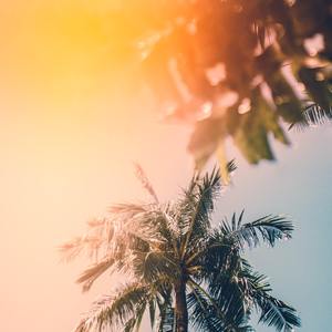This summer(feat.Craig)