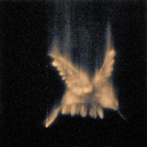 BACKDOOR (feat. BBL6) (feat. sasbo & BBL6)