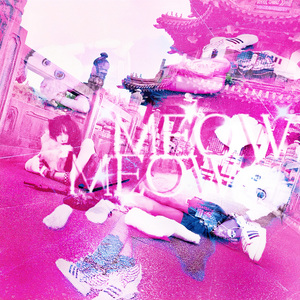 猫系傲娇 Meow Meow