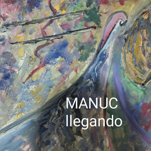 Llegando