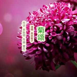 菊颂