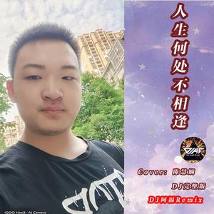 陈慧娴-人生何处不相逢（曾小理 remix）