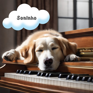Soninho