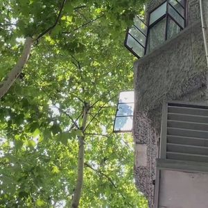 april plug clips 2k23