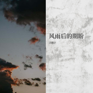 风雨后的期盼