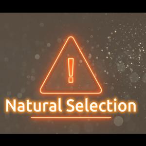 Natural Selection