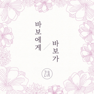 바보에게 바보가