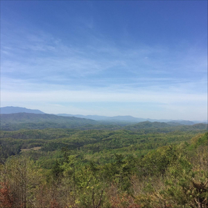 Conjugations of Sound