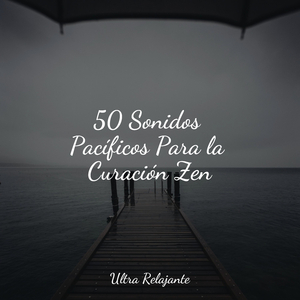 Hora De La Conexión