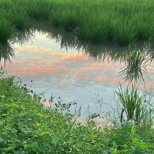 挫折只是一阵风