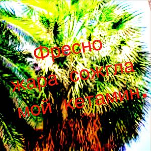 FRESNO HEAT BURNED MY KETAMINE