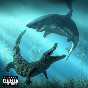 Crocodile Shark