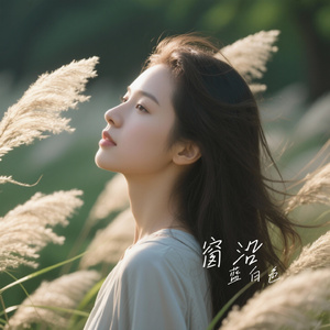 窗沿