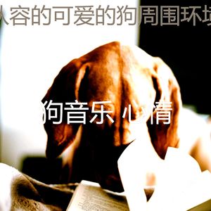 柔和的训练你的狗时刻