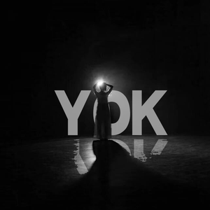 YOK-无