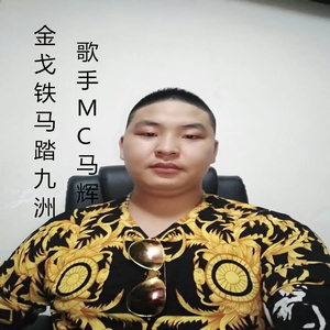 金戈铁马踏九洲