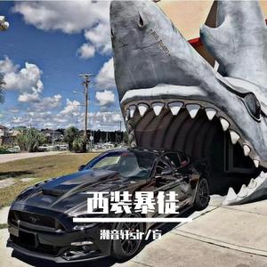 西装暴徒（DJ版）