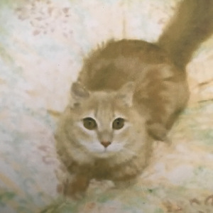 一番素敵なまま
