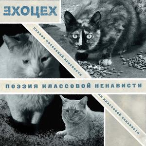 Аффирмация