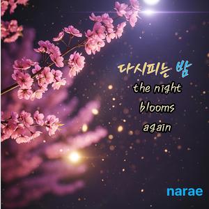 다시피는 밤