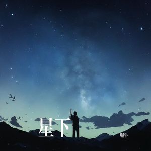 星下