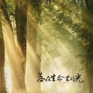 落在生命里的光