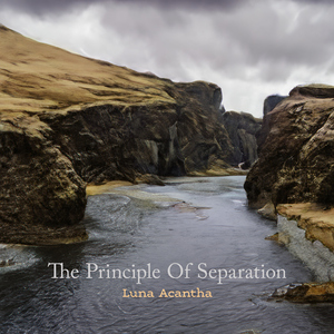 The Principle Of Separation