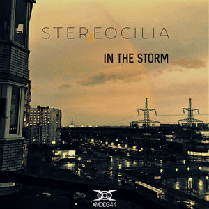 In the Storm (Original Mix)