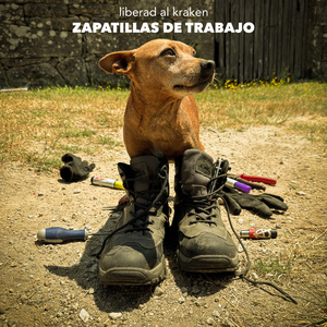 Zapatillas de Trabajo