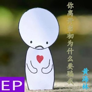 你离开当初为什么要骗我.mp3
