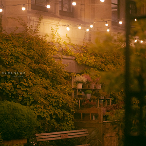 위로 받고 싶은 밤에