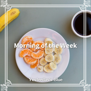 The Sunlight's Warmth