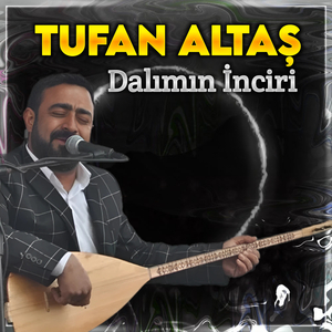 Dalımın İnciri