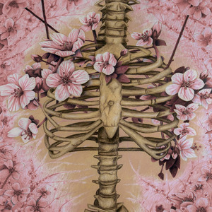 Autopsy