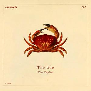 The tide