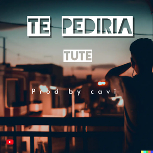 Te Pediria
