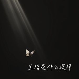 生活是什么模样