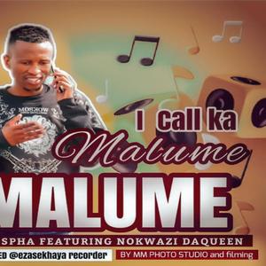 Call Ka"Malume_Rtk Spha feat Nokwazi Da (feat. Nokwazi Da Queen) (Radio Edit)